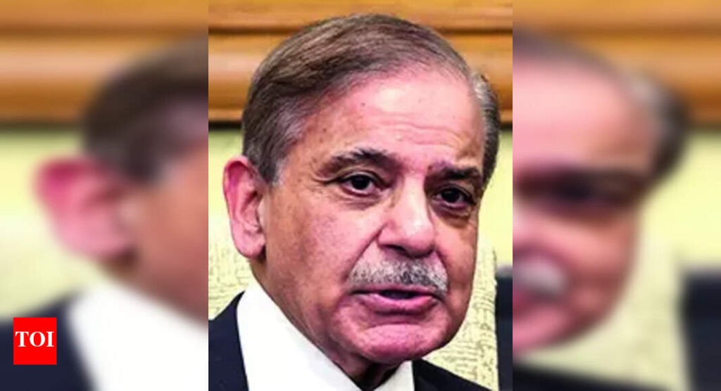 पाक पीएम शहबाज़ शरीफ न्यूयॉर्क में श्रीलंका और यूनुस के अध्यक्ष से मिलते हैं