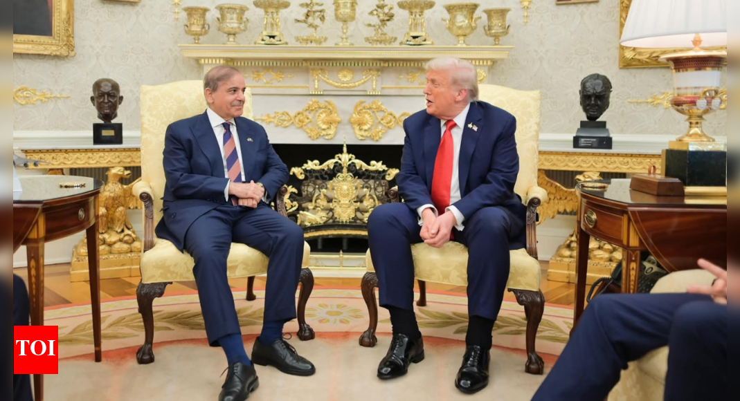 ‘तबाही से बचता’: पाकिस्तान के प्रधान मंत्री, ट्रम्प की “शांति आदमी के रूप में प्रशंसा करते हैं; उनकी बैठक में जो कुछ भी हुआ था