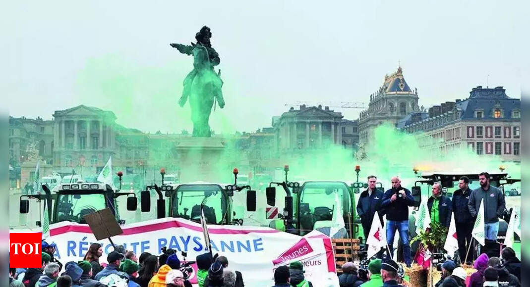 क्या आप इस इतालवी शहर में एक कुत्ता लाना चाहते हैं? यह $ 1.75 होगा