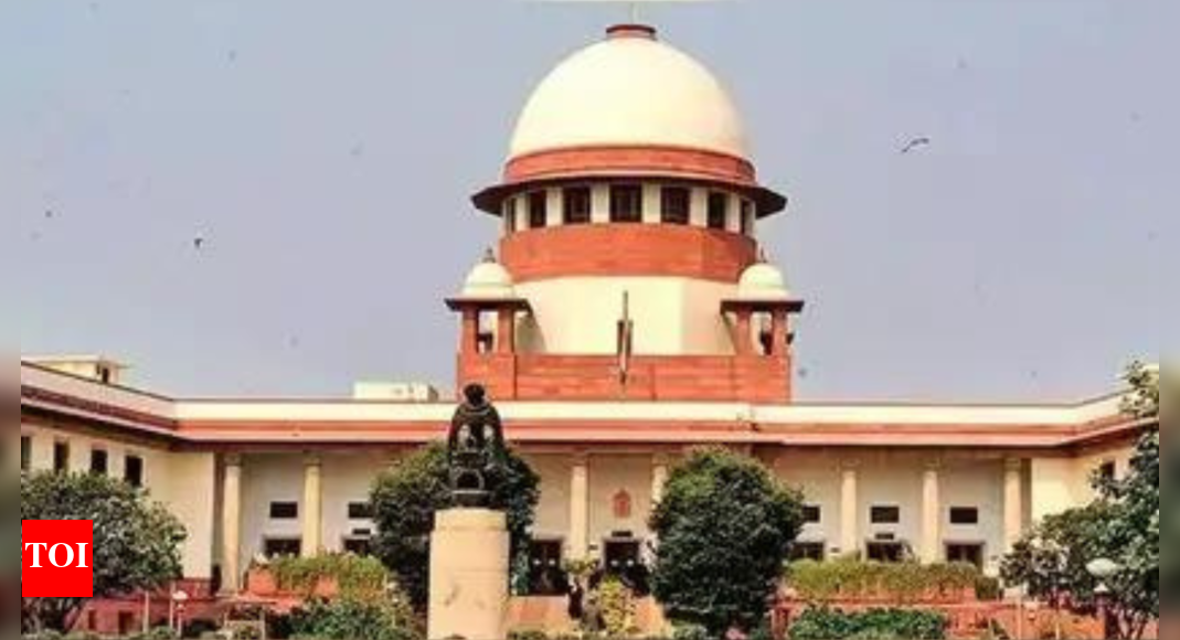 ग्रीन कुकीज़ की बिक्री की गारंटी के लिए तंत्र बनाएं, सुप्रीम कोर्ट ने केंद्र को बताया | भारत समाचार