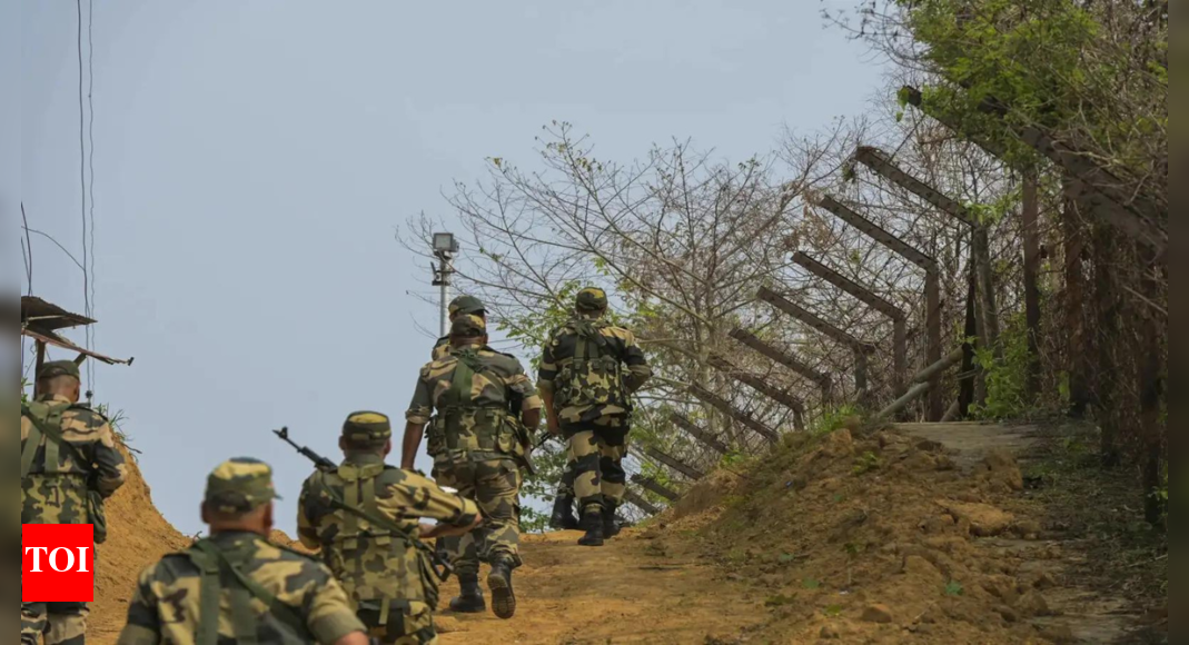 बीएसएफ पाकिस्तान को एक मानसिक रूप से अस्थिर घुसपैठिया भेजता है भारत समाचार