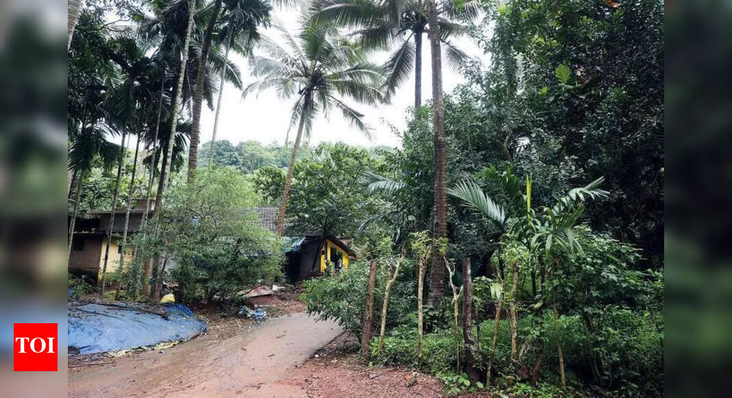 ग्रामीणों द्वारा ‘आक्रामक’ विरोध को धमकी देने के बाद गोवा फ्रैप्स आईआईटी कोडर प्रोजेक्ट | गोवा न्यूज