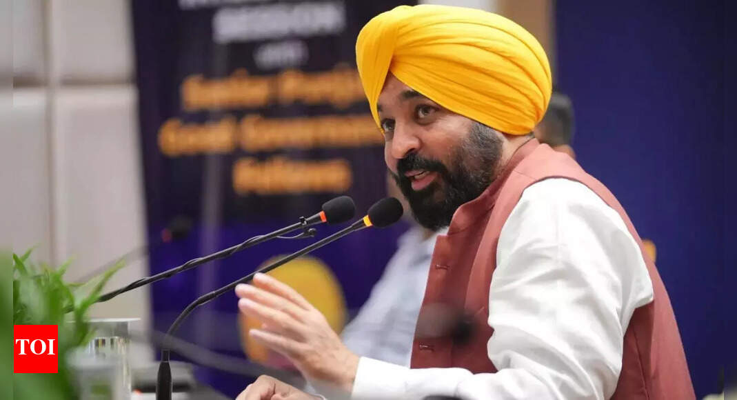 पंजाब सीएम पारदर्शी शासन उद्योग, विश्व स्तरीय बुनियादी ढांचा सुनिश्चित करता है | भारत समाचार