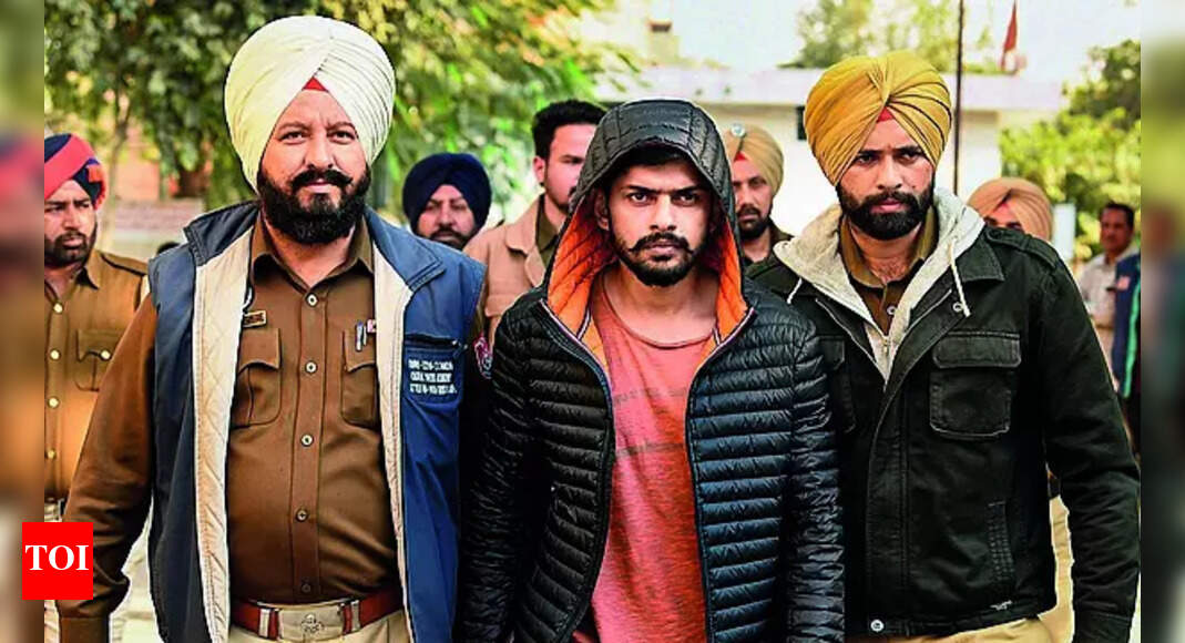 बिश्नोई गैंग एक ‘आतंकवादी इकाई’, कनाडा को स्वीकार करता है; ‘द हॉरर लेबल’ ओटावा पर खालिस्तानिस के प्रभाव को दर्शाता है | भारत समाचार