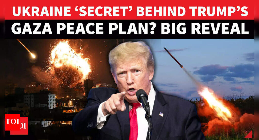 ‘हम देखेंगे कि यह क्या है’: डोनाल्ड ट्रम्प गाजा की ‘शांति योजना’ को स्वीकार करने के लिए हमास को 3-4 दिन देता है; अगर अस्वीकार कर दिया गया तो “उदास अंत” के बारे में चेतावनी देता है