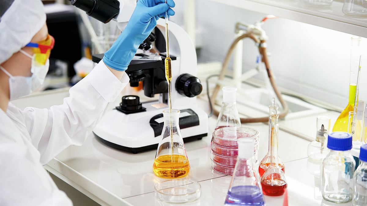 Finetex रासायनिक क्रियाएं 14% से अधिक बढ़ जाती हैं क्योंकि Mulls बोर्ड के लाभांश, बोनस समस्या, एक्शन डिवीजन