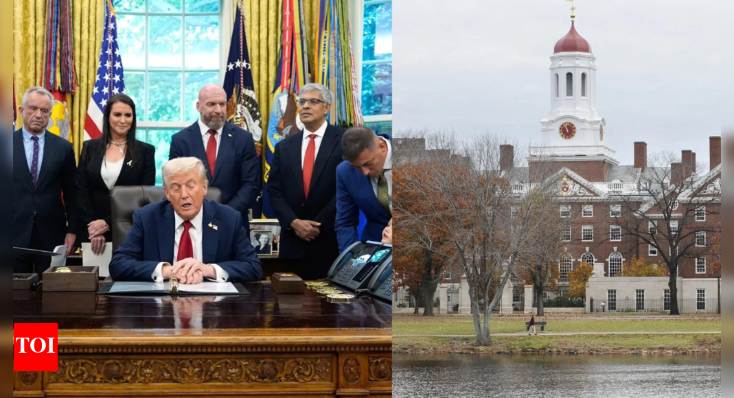 ‘वह हार्वर्ड के साथ एक समझौते पर पहुंचा’: ट्रम्प ने $ 500 एमएन समझौते की पुष्टि की; AI वाणिज्यिक स्कूल | दुनिया से समाचार