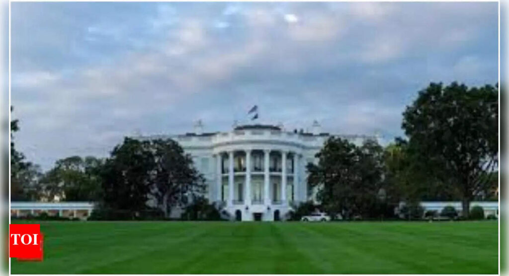 ‘मेरा चेहरा कहो’: कैमरा लीडर ट्रम्प को हिट करता है; दीपफेक के वीडियो के बारे में हमें ‘नस्लवादी’ के अध्यक्ष को बुलाएं