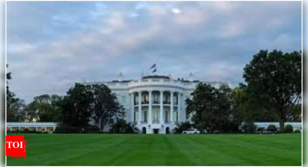 ‘मेरा चेहरा कहो’: कैमरा लीडर ट्रम्प को हिट करता है; दीपफेक के वीडियो के बारे में हमें ‘नस्लवादी’ के अध्यक्ष को बुलाएं