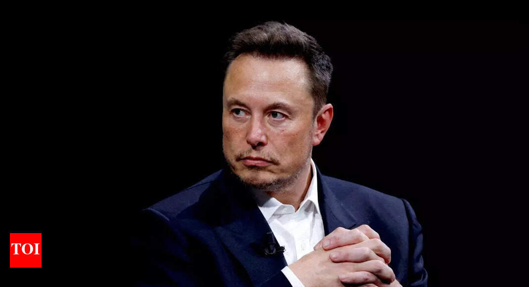 एलोन मस्क ने हामिश स्टील पर नेटफ्लिक्स सब्सक्रिप्शन को रद्द कर दिया है। यह वही है जो टेस्ला के सीईओ से गुस्से में है