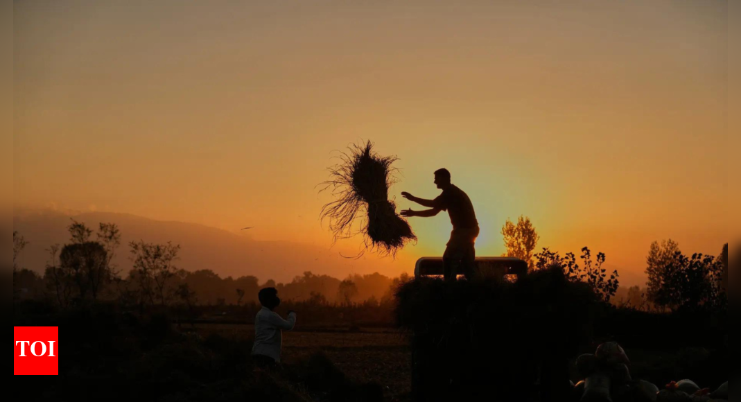 10,786 किसानों और कृषि श्रमिकों ने 2023 में भारत में आत्महत्या कर ली, महाराष्ट्र ने उनमें से 38% उच्चतम को सूचित किया और उसके बाद कर्नाटक के साथ 22% के साथ: NCRB | भारत समाचार