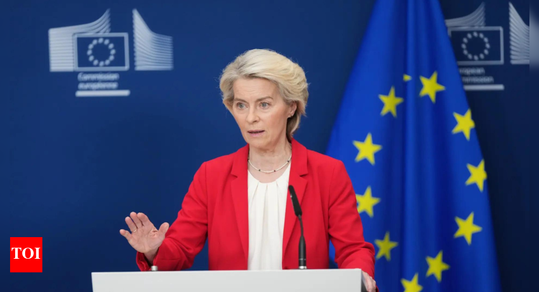 ‘यूरोप को खुद का बचाव करने की जरूरत है’: यूरोपीय संघ के नेताओं ने बचाव को मजबूत करने के लिए ‘ड्रोन की दीवार’ वापसी की: यह क्या है?