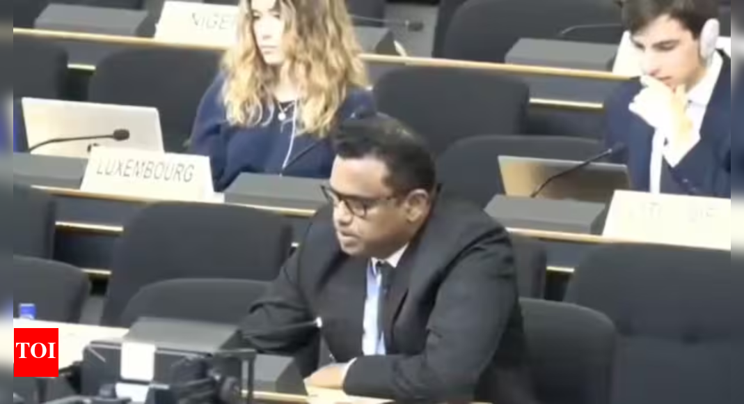 ‘गहराई से विडंबना’: भारत संयुक्त राष्ट्र में पाकिस्तान को मारता है; वे अपनी मिट्टी में अल्पसंख्यकों के उत्पीड़न को कहते हैं | भारत समाचार