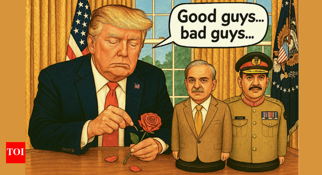 पाकिस्तान में डोनाल्ड ट्रंप के फ्लॉप फ्लॉप: केक लीजिए या रेयर अर्थ