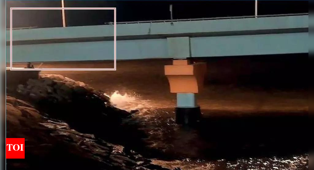 कार समुद्र में गिरती है, सुरक्षित नशे में चालक | भारत समाचार