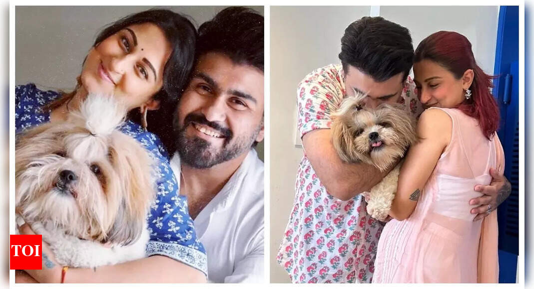 करवा चौथ ने आर्य बब्बर की पत्नी जैस्मीन बब्बर को उनकी नानी के शब्द याद दिलाए: ‘प्यार एक बार नहीं होता’ – एक्सक्लूसिव |