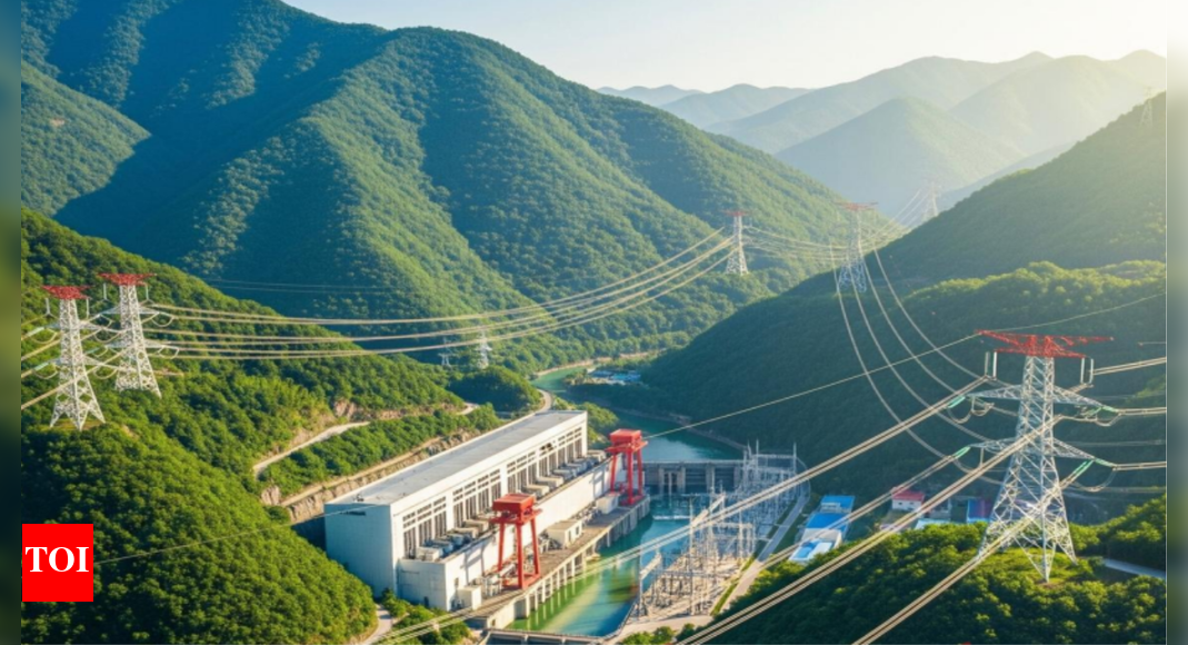 ब्रह्मपुत्र का दोहन: केंद्र ने 6.4 लाख करोड़ रुपये की जलविद्युत योजना का अनावरण किया; चीन के अपस्ट्रीम बांध का मुकाबला | भारत समाचार