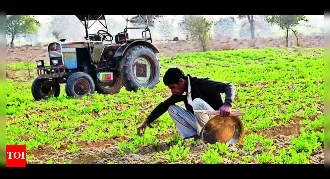 सरकार ने पीएम-किसान मानदंडों के 31 लाख उल्लंघनकर्ताओं की पहचान की | भारत समाचार