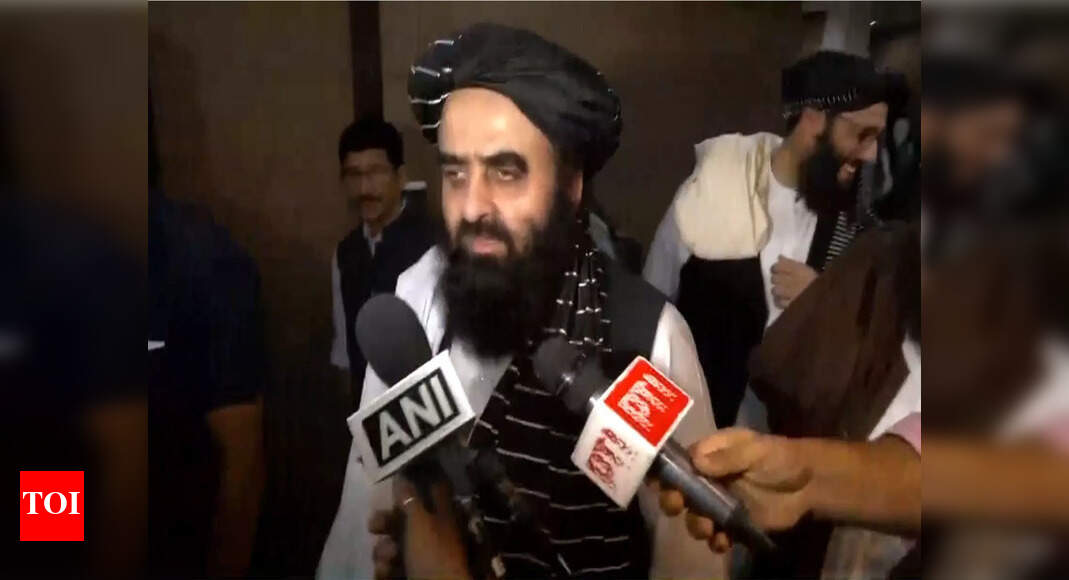 ‘हम किसी के साथ संघर्ष नहीं चाहते’: सीमा पर झड़पों पर अफगान विदेश मंत्री; पाकिस्तान को सिर्फ “नाखुश पड़ोसी” कहा