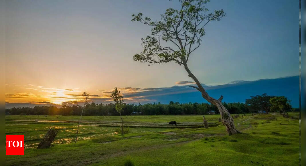 यह शहर 2026 तक फुकेत और बर्लिन को पछाड़कर भारत का सबसे लोकप्रिय पर्यटन स्थल बन जाएगा।