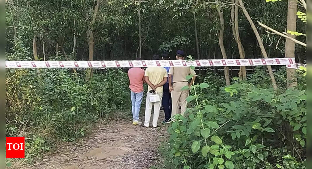 दुर्गापुर सामूहिक बलात्कार मामला: पुलिस ने आरोपियों की पहचान के लिए पीड़िता के लिए आईटी परेड की योजना बनाई | भारत समाचार