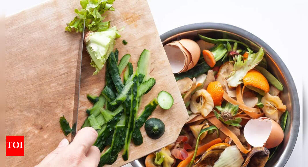 भारत 78 मिलियन टन घरेलू कचरा पैदा करने वाला दूसरा देश बन गया है