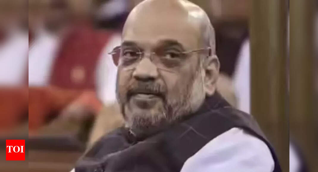 ‘विश्वास है कि भारतीय कानून भगोड़ों को अंत तक नहीं पहुंचा सकता’ | भारत समाचार