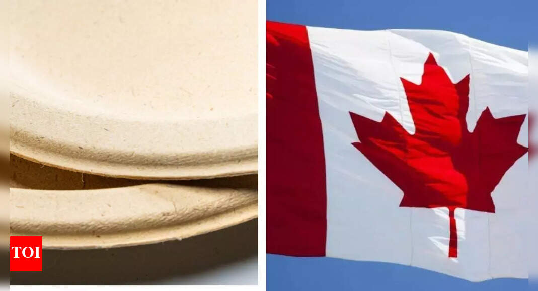 कनाडा ने पेपर प्लेटों की जांच की घोषणा की; सोशल मीडिया यूजर्स ने सरकार को किया ट्रोल; ‘बहुत सुरक्षित महसूस करें’