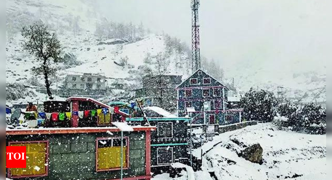 कांप उठा हिमाचल: ताजा बर्फबारी, बारिश के बाद गिरा पारा; 0° से नीचे टैबो | भारत समाचार