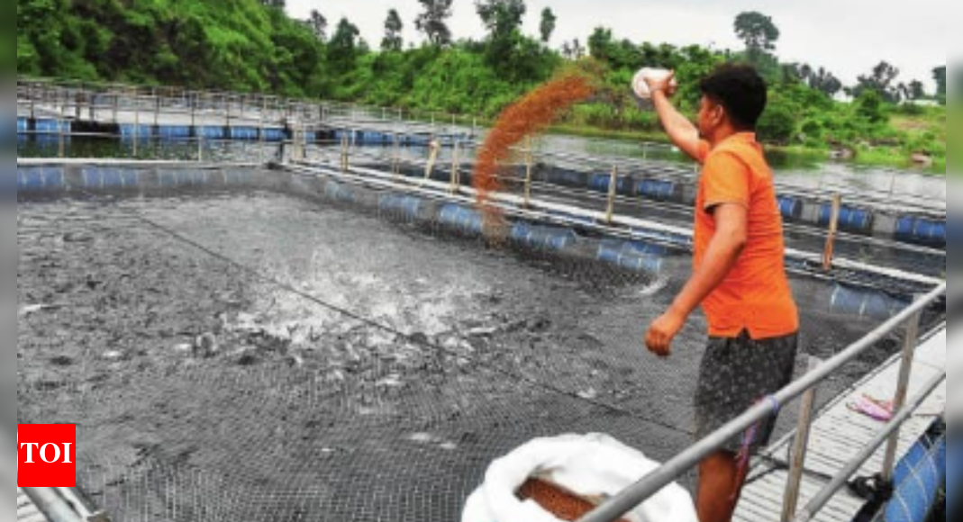 लाभ के लिए जलीय एटीएम और मछली पकड़ना | भारत समाचार