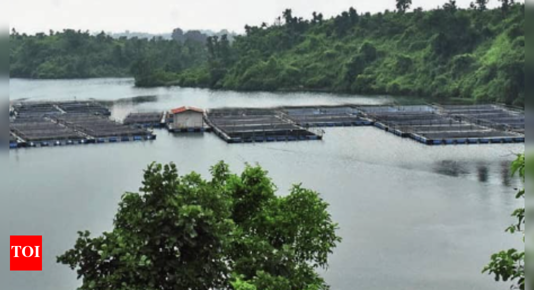 पानी से मुनाफे तक: कैसे कोयला पूरे भारत में नल खोल रहा है | भारत समाचार