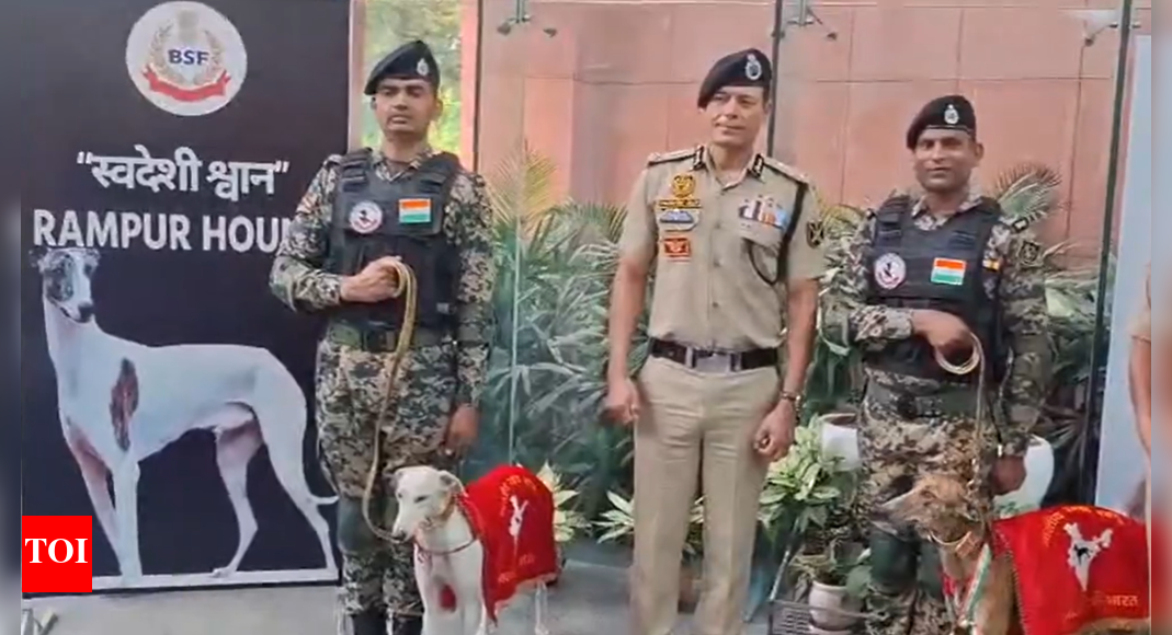 राष्ट्रीय एकता दिवस पर पीएम मोदी देखेंगे ‘देसी’ डॉग स्क्वॉड का मार्च. भारत समाचार