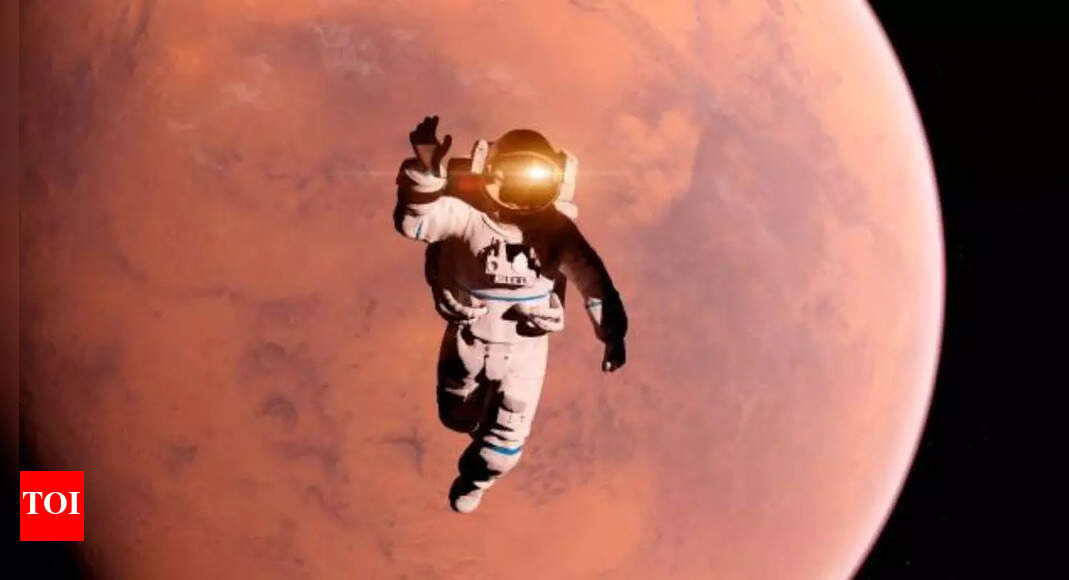 फ़्रीज़-सूखे पकौड़े से लेकर चारपाई बिस्तर तक: मंगोलियाई पर्यटक शिविर के अंदर जो मंगल ग्रह पर जीवन का पुनर्निर्माण करता है