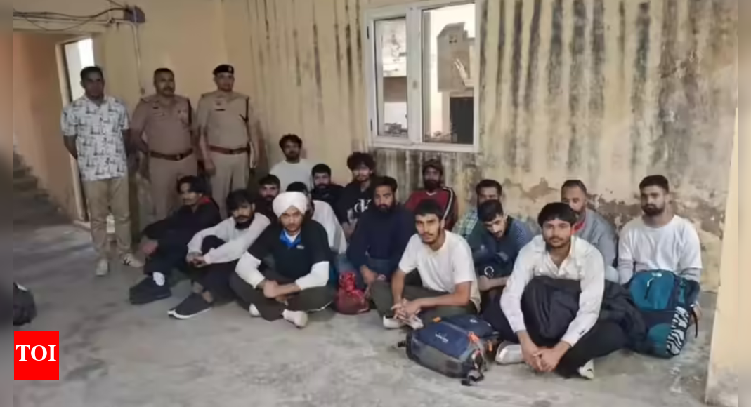 डंकी मार्ग क्या है? शाहरुख खान जैसा सपना पूरा करने के बाद हरियाणा के 50 लोगों को अमेरिका से निर्वासित किया गया