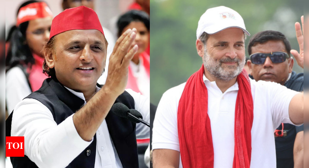 क्या इंडिया ब्लॉक में दरार है? सपा विधायक ने राहुल गांधी की ‘जन नायक’ उपाधि पर उठाए सवाल; अखिलेश यादव को पसंद करते हैं | भारत समाचार