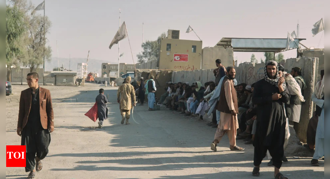 सीमा पर तनाव: तुर्किये में पाकिस्तान-अफगानिस्तान वार्ता बेनतीजा ख़त्म; वे दोनों एक-दूसरे पर उंगली उठाते हैं