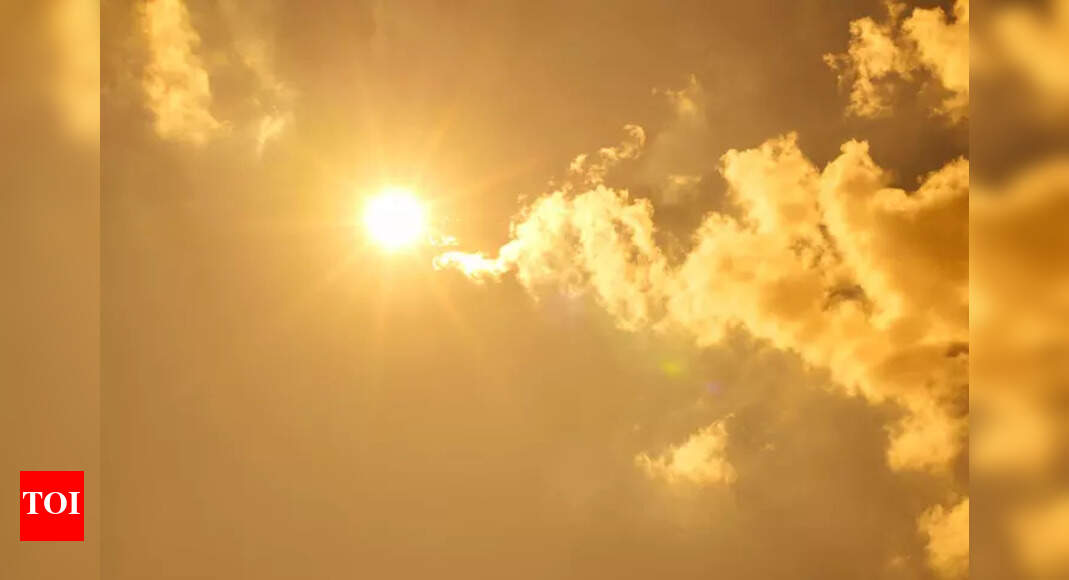 1990 के दशक से वैश्विक स्तर पर गर्मी से संबंधित मौतों में 23% की वृद्धि हुई है: लैंसेट | भारत समाचार