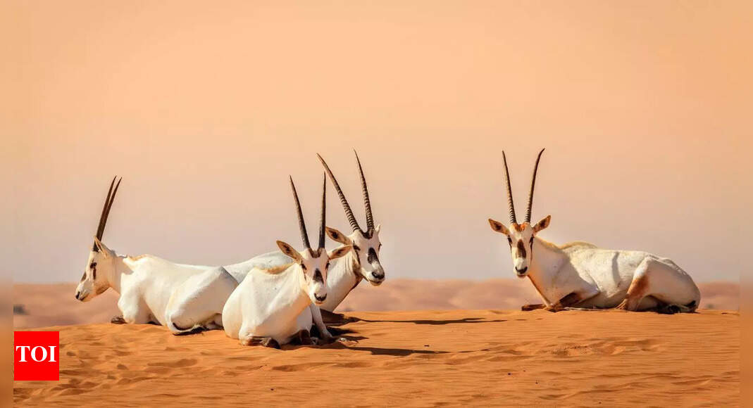 पृथ्वी ने वैज्ञानिकों को आश्चर्यचकित कर दिया! पौधों और जानवरों की प्रजातियों के विलुप्त होने की दर आश्चर्यजनक रूप से धीमी हो गई है |