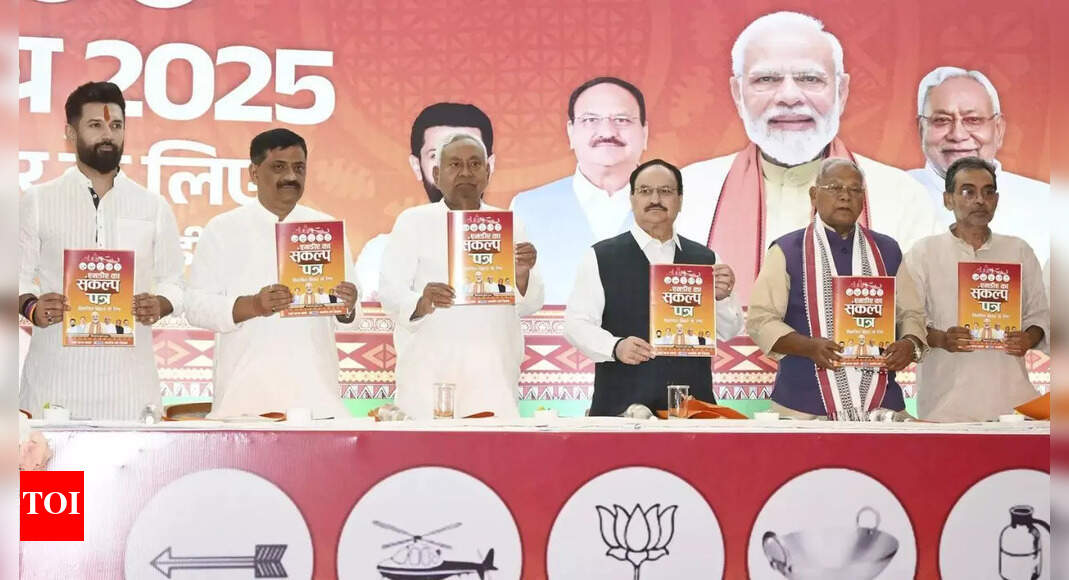 एक करोड़ सरकारी नौकरियाँ और उससे अधिक: एनडीए ने बिहार चुनाव के लिए घोषणापत्र जारी किया; ‘संकल्प पत्र’ में प्रमुख वादे | भारत समाचार