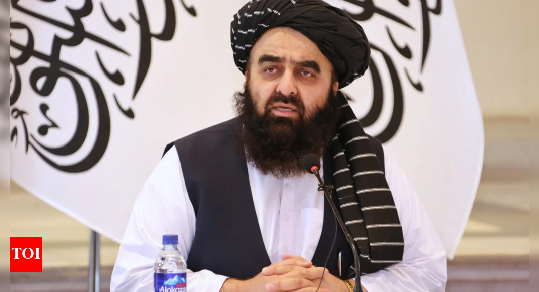 तालिबान इस महीने दिल्ली में पहला राजनयिक नियुक्त करेगा | भारत समाचार