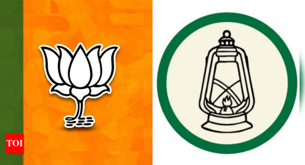 बिहार चुनाव: गौरा बौराम सीट पर दुर्लभ बदलाव देखने को मिला; कैसे राजद के बागी उम्मीदवार भाजपा की मदद कर सकते हैं | भारत समाचार