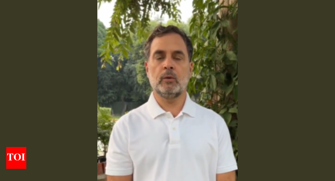 बिहार चुनाव की पूर्व संध्या पर राहुल गांधी की ‘जेनरेशन जेड’ से अपील; युवाओं से ‘चोरी वोट’ को रोकने का आग्रह – देखें | भारत समाचार