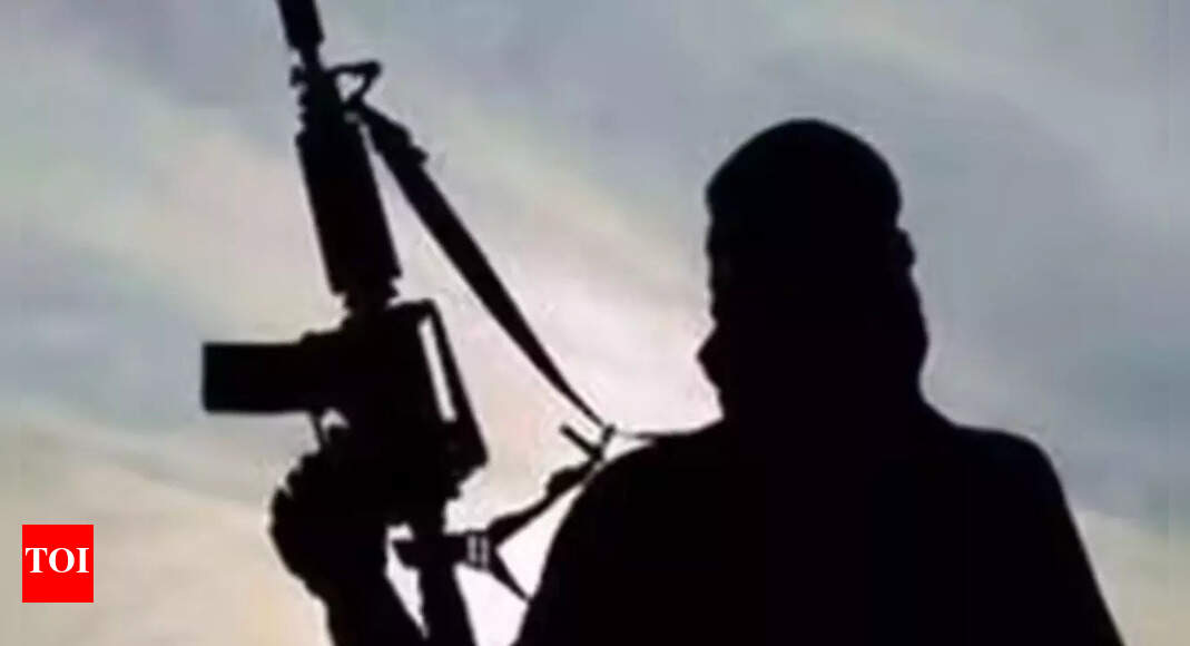 नक्सली जीवन में 14 साल: 17 लाख रुपये की इनामी महिला ने छत्तीसगढ़ में आत्मसमर्पण किया; विकास से प्रभावित | भारत समाचार