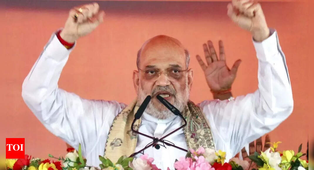 ‘वे घुसपैठियों का स्वागत करते हैं’: शाह ने बिहार रैली में लालू ‘चाचा’ और राहुल गांधी का मजाक उड़ाया; दावा: नीतीश-मोदी ही रोक सकते हैं ‘जंगल राज’ भारत समाचार