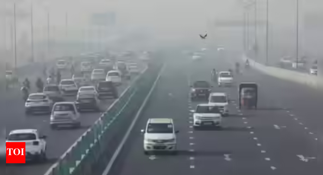 यादृच्छिक सत्यापन ICA डेटा की सटीकता पर सवाल उठाता है | भारत समाचार