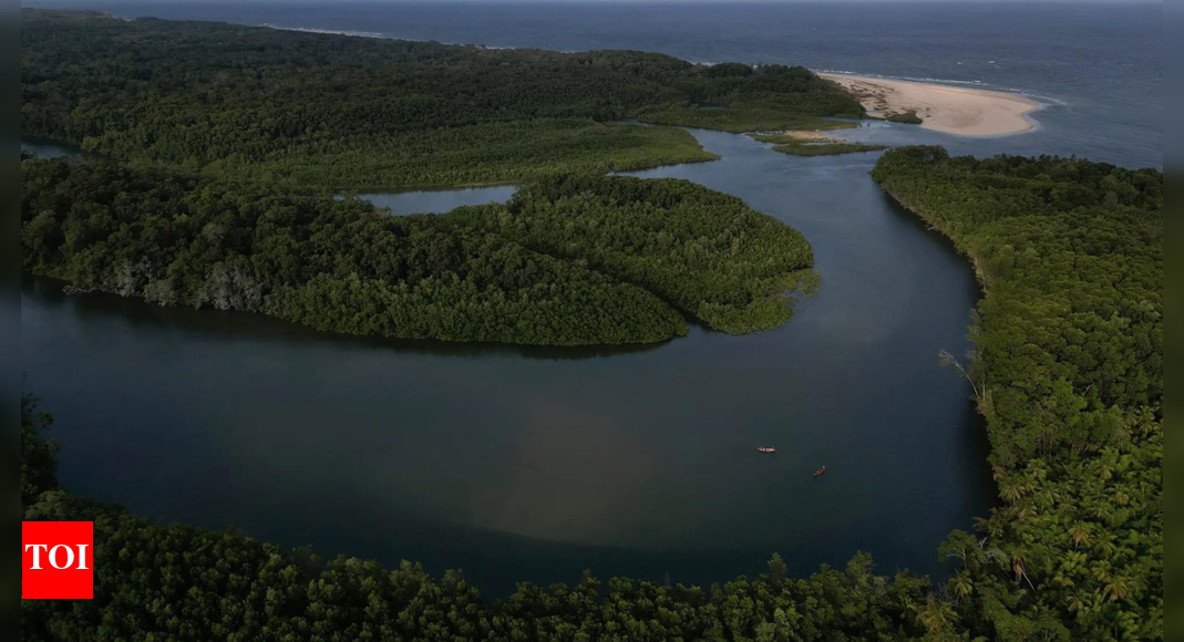 वन संरक्षण को विनाश से अधिक लाभदायक बनायें