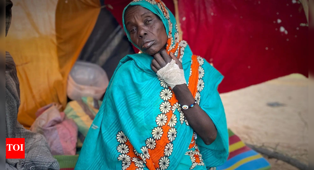 सूडान: एकतरफा संघर्ष विराम की चिंगारी, मानवीय सहायता की मांग