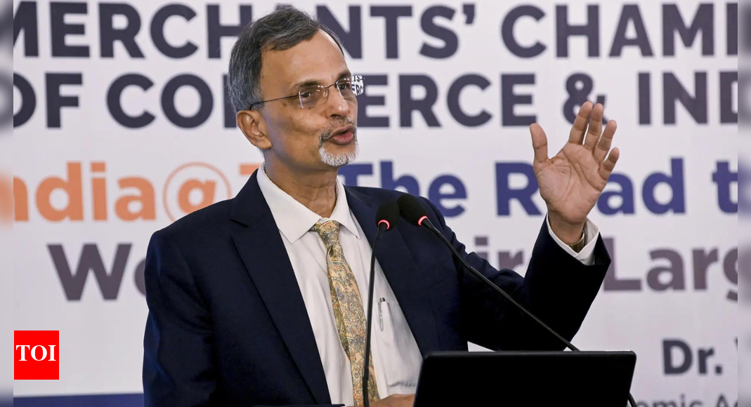 आईपीओ का उपयोग ‘निकास मार्ग’ के रूप में किया जाता है: सीईए