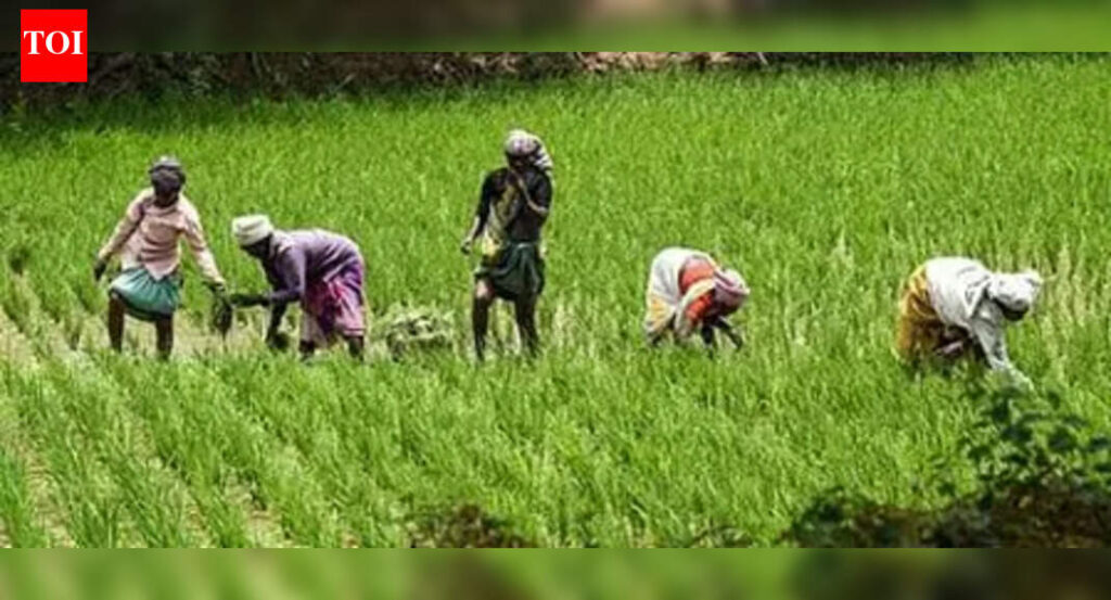 किसानों और नागरिक समाज संगठनों ने सरकार से पादप आनुवंशिक संसाधनों पर वैश्विक संधि में प्रस्तावित परिवर्तनों को अस्वीकार करने का आग्रह किया है | भारत समाचार