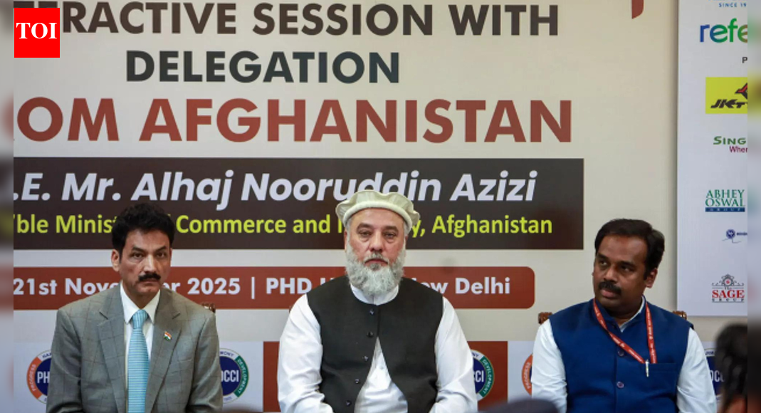 ‘बहुत जल्द’: भारत और अफगानिस्तान के बीच एयर कार्गो उड़ानें शुरू होंगी, विदेश मंत्रालय के अधिकारी का कहना है; दिल्ली, अमृतसर-काबुल मार्गों की योजना बनाई गई | भारत समाचार